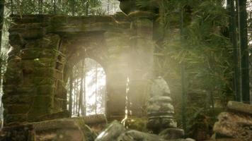 The Ruins of ancient buildings in green bamboo forest photo