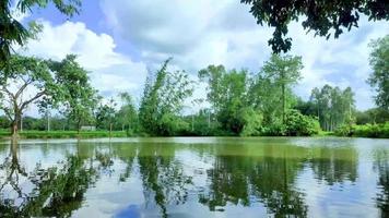 A calm pond with reflection of clouds video