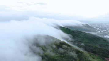 vista aérea de árboles cubiertos de niebla en el valle hermoso concepto de viaje de otoño. video