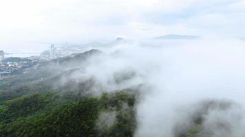 vista aérea de árvores cobertas de nevoeiro no vale belo conceito de viagens de outono.