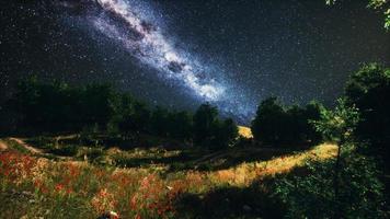 Green Trees Woods In Park Under Night Starry Sky photo