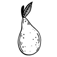 Pear vector icon. Isolated illustration on a white background. Hand-drawn doodle. Black outline of an exotic fruit. Food sketch. Line art. Garden pear with stem and leaf. Monochrome.
