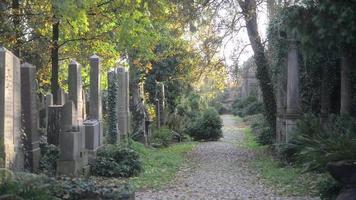 An old Jewish Cemetery in Wroclaw, Poland - Breslau - Grave Slabs and Crypts are overgrown with Ivy video