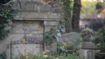 um antigo cemitério judaico em wroclaw, polônia - breslau - lajes e criptas de sepultura estão cobertas de hera video