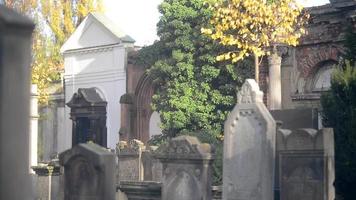 un antiguo cementerio judío en wroclaw - losas de tumbas y criptas cubiertas de hiedra video