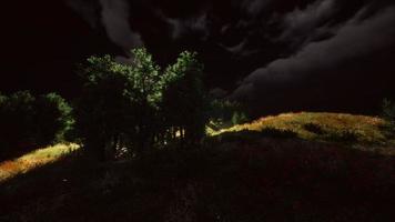 Thunderstorm clouds with lightning in green meadow photo