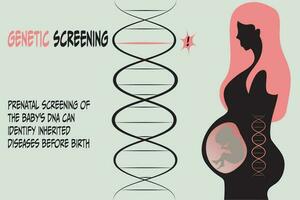 prenatal screening of fetus for genetic disorders vector