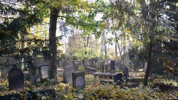 un antiguo cementerio judío en wroclaw - losas de tumbas y criptas cubiertas de hiedra video