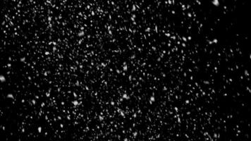 Snow Falling Background Seamless Loop video