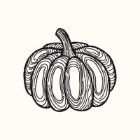 Pumpkin. Hand-drawn stylized image of pumpkin. Graphic black and white image isolated on white background. Vector illustration.