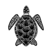 Tortuga. imagen estilizada dibujada a mano de tortuga. imagen gráfica en blanco y negro aislada sobre fondo blanco. ilustración vectorial vector