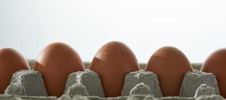 Eggs close up in egg protective container on white background. photo