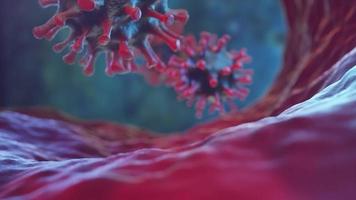 corona virus infectie gezondheid cel close-up 3d render animatie alpha groen scherm video