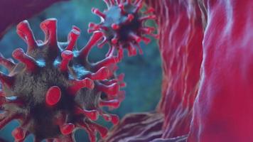 Corona-Virus-Infektion gesunde Körperzelle Mikroskop Nahaufnahme 3D-Render-Animation video