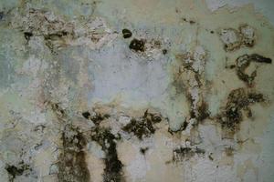 Textured dirty rough cement concrete background. Grunge wall for pattern and background. photo
