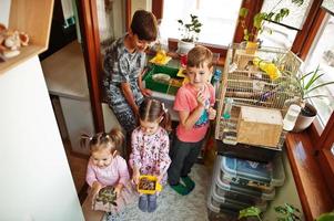 Four children holding their favorite pets on hands. Kids playing with hamster,turtle and parrots at home. photo