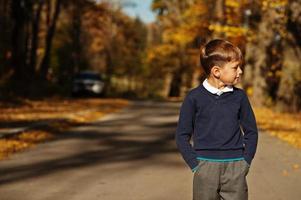 un niño joven usa polo y una pose clásica de suéter en el fondo del otoño. foto