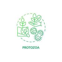 Protozoa green gradient concept icon. Agricultural microbiology abstract idea thin line illustration. Regulate bacterial population. Isolated outline drawing. Roboto-Medium, Myriad Pro-Bold fonts used vector