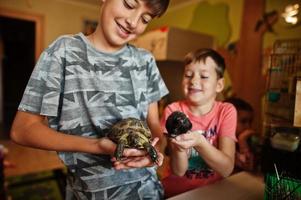 niños con sus mascotas favoritas en las manos. niños jugando con hámster, tortuga y loros en casa. foto