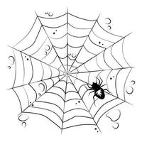 Web with a spider on a white isolated background. Halloween Design Elements. Creepy, scary. Vector. vector