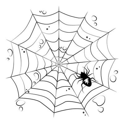 Web with a spider on a white isolated background. Halloween Design Elements. Creepy, scary. Vector.