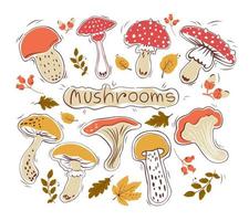 Vector hand drawn set of mushrooms and leaves. Autumn. Hygge. Isolated background.