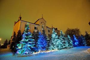 Christmas trees with lights photo