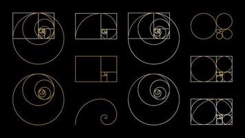 Conjunto fibonacci de proporción áurea. una espiral de armonía, composición, logos y diseños. proporciones correctas. vector