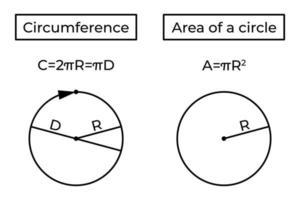 Circumference, area of a circle and formula. Perimeter. Basic school geometry. Vector illustration isolated on white background.