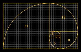 Golden Ratio Fibonacci. A spiral for harmony, composition, logos and designs. Correct proportions. vector