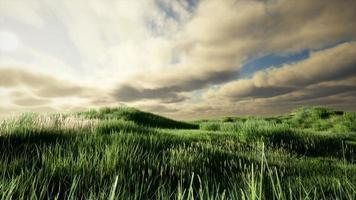 Storm clouds above meadow with green grass photo