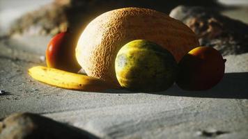 Desert melon on the sand beach photo