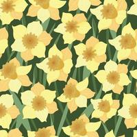 Seamless pattern with yellow daffodils on a green background. The concept of a blooming meadow. Vector. vector