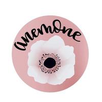 Anemone illustration with handwritten title. Sticker with lettering and flower drawing in pink. For prints, cards, web. vector