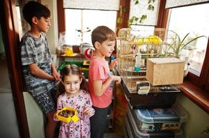 tres niños con sus mascotas favoritas en las manos. niños jugando con hámster, tortuga y loros en casa. foto