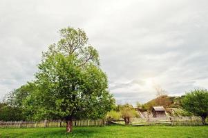 Lonely tree in the mountains with wooden house and fence photo