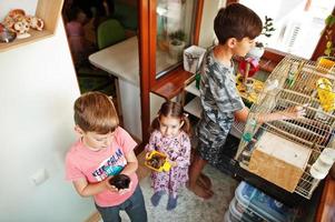 tres niños con sus mascotas favoritas en las manos. niños jugando con hámster, tortuga y loros en casa. foto