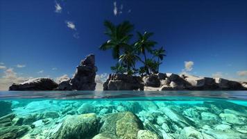 Split view cross section of sea water and palm trees on Island photo