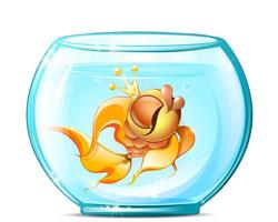 Gold Fish in aquarium vector