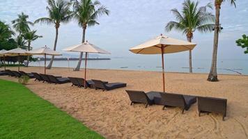 tom strandstol med palmträd på stranden med havsbakgrund video