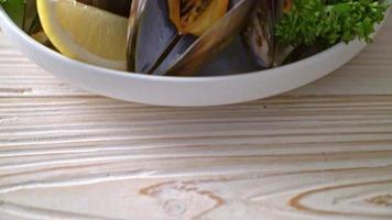 färska musslor med örter i en skål med citron video