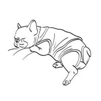 bulldog con tela durmiendo ilustración vectorial dibujado a mano aislado en el arte de línea de fondo blanco. vector