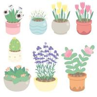 cute tiny flower in pot collection vector