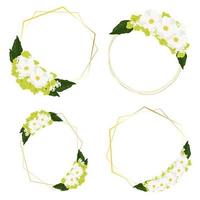 white cosmos and green hydrangea flowers bouquet with golden frame wreath for valentine's day, wedding, mother's day or birthday vector