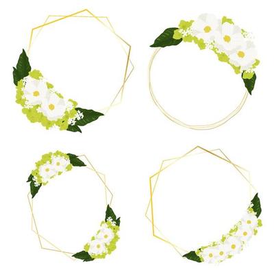 white cosmos and green hydrangea flowers bouquet with golden frame wreath for valentine's day, wedding, mother's day or birthday