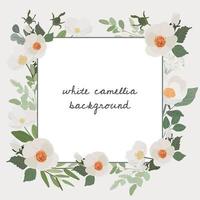 white camellia flower bouquet wreath frame square banner background flat style vector