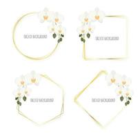 minimal flat style white Phalaenopsis orchid wreath with golden frame collection isolated on white background