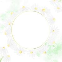 watercolor white daisy square banner  for wedding birthday or mother's day vector