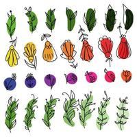 A set of hand drawn doodle plants and flowers on colored spots, for design invitations, cards, etc. vector