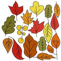 Set of autumn leaves in red-orange colors, doodle stylized leaves with different types of trees vector